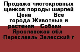 Продажа чистокровных щенков породы шарпей › Цена ­ 8 000 - Все города Животные и растения » Собаки   . Ярославская обл.,Переславль-Залесский г.